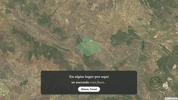 Spot image