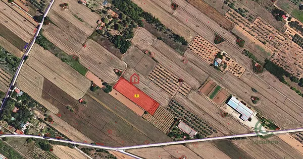 Spot image