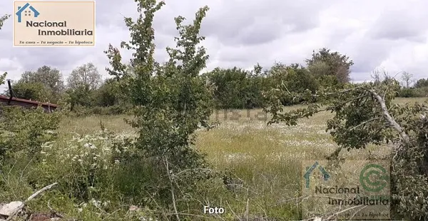 Spot image