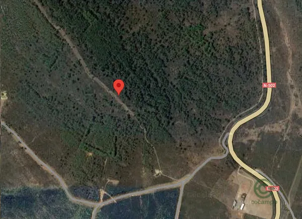 Spot image