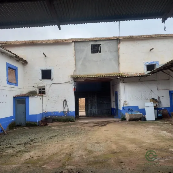 Spot image