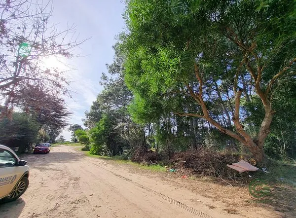 Finca forestal de 0,05 ha en venta en Buenos aires