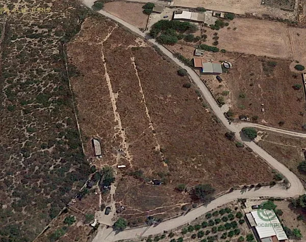 Spot image