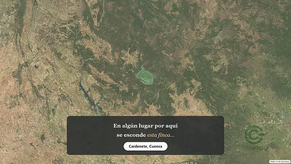 Spot image