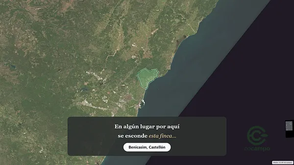 Spot image