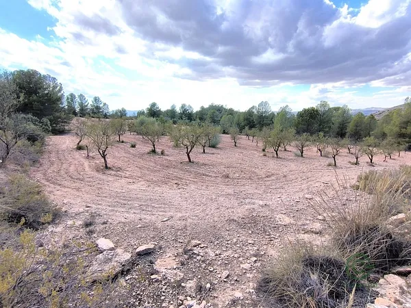Finca agrícola de 1,04 ha en venta en Yecla, Murcia