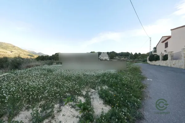 Spot image