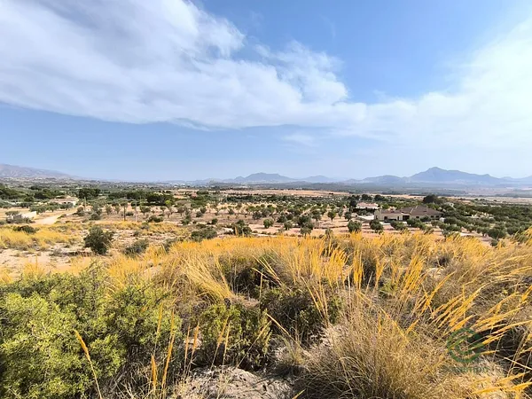 Spot image