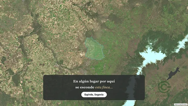 Spot image