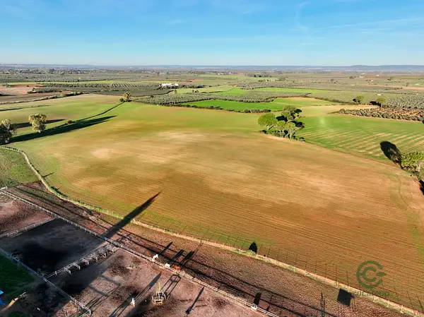 Finca rústica de 15 ha en venta en Sevilla