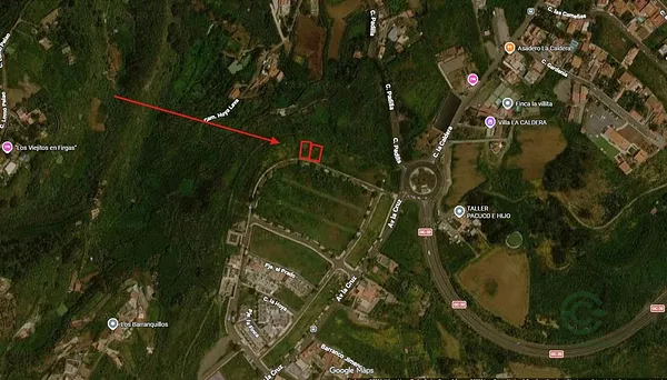 Spot image