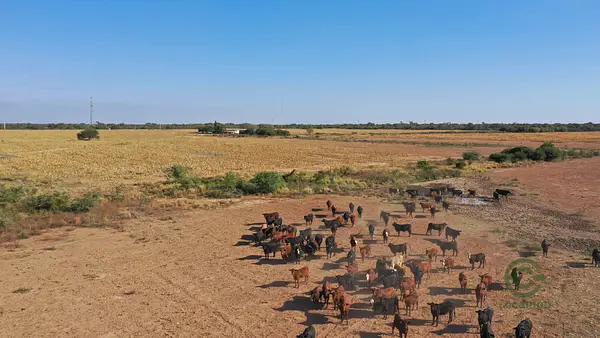 Finca rústica de 10839 ha en venta en Salta