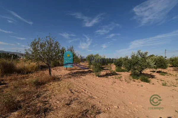 Spot image