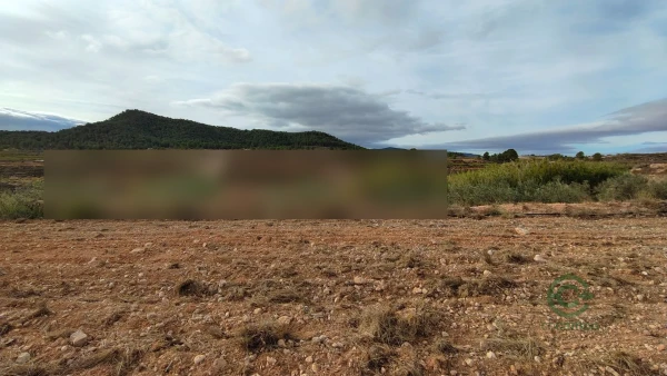 Spot image