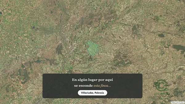 Spot image