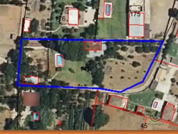 Spot image