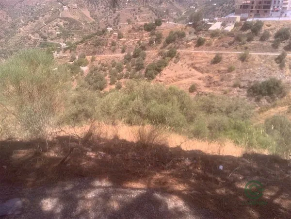 Finca rústica de 0,6 ha en venta en Sayalonga, Málaga