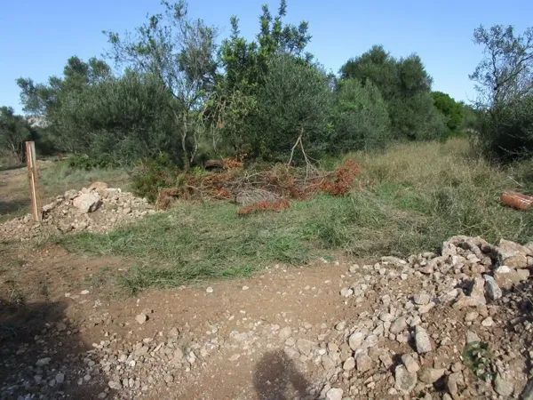 Finca agrícola de 0,22 ha en venta en Aldover, Tarragona