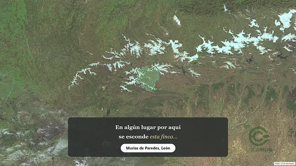 Spot image