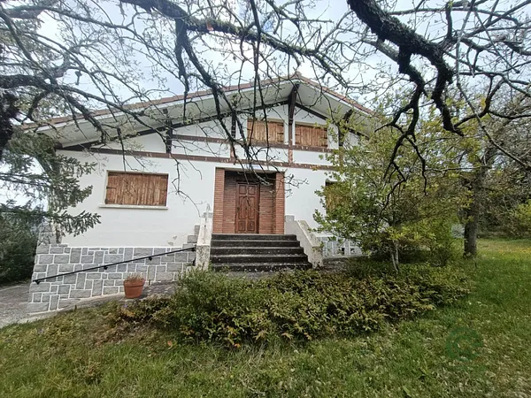 Spot image