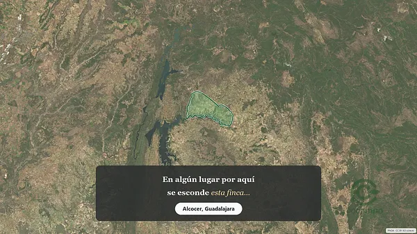 Spot image