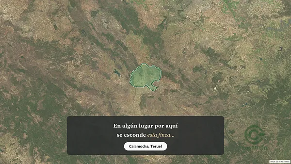Spot image