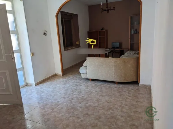 Spot image