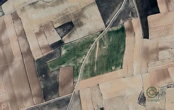 Finca agrícola de 10,3 ha en alquiler en La rioja