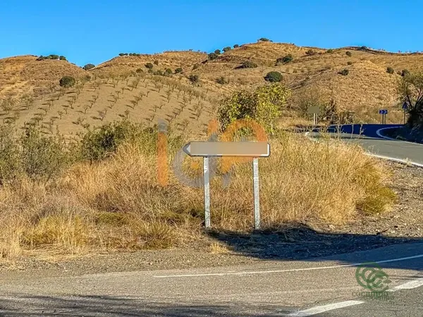 Spot image