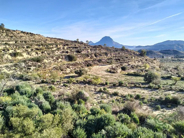 Spot image