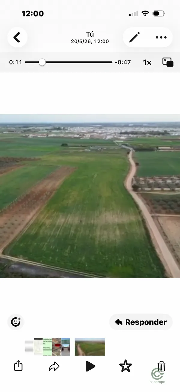 Finca rústica de 3,5 ha en venta en Huelva