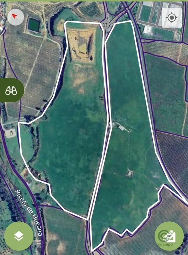 Spot image