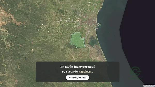 Spot image