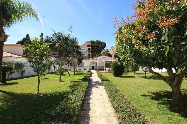 Spot image
