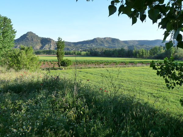 Finca rústica de 77 ha en venta en Albacete