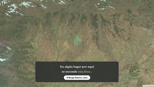 Spot image