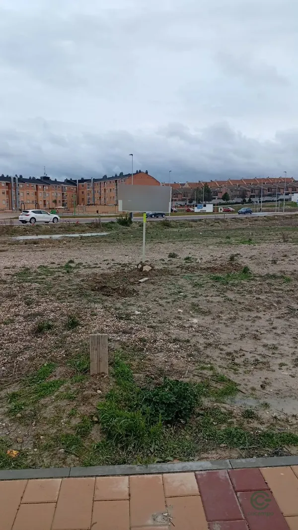 Spot image