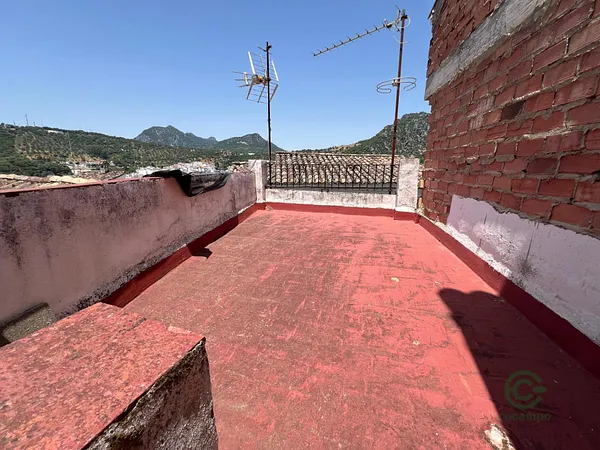 Spot image