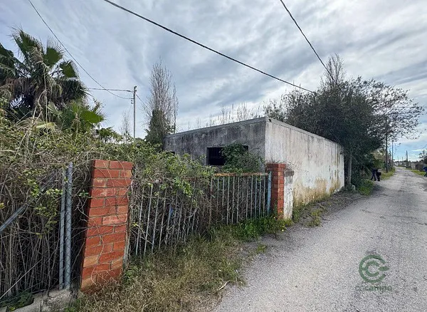 Spot image