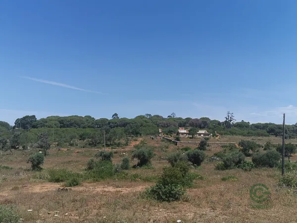 Spot image
