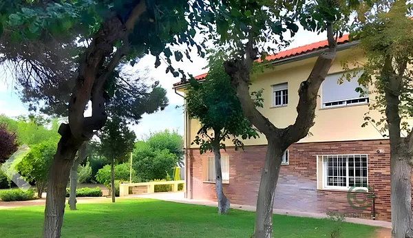 Spot image