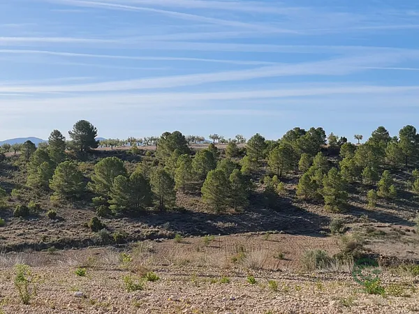 Finca agrícola de 3,17 ha en venta en Yecla, Murcia