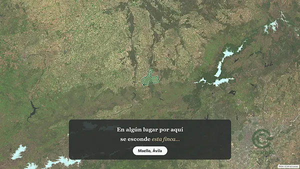 Spot image