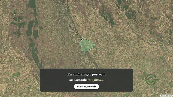 Spot image