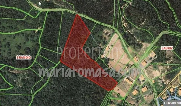 Spot image