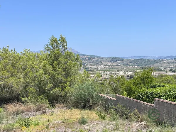 Spot image