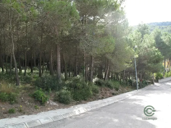 Spot image