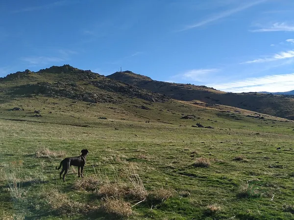 Finca rústica de 42,0277 ha en venta en Palazuelos de eresma, Segovia