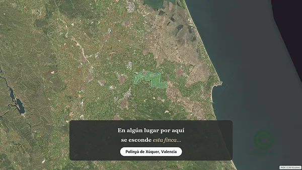 Spot image