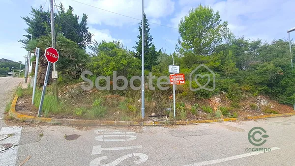 Spot image